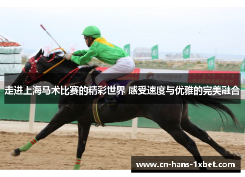 走进上海马术比赛的精彩世界 感受速度与优雅的完美融合