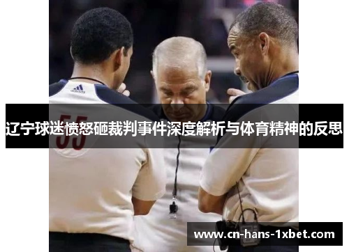 辽宁球迷愤怒砸裁判事件深度解析与体育精神的反思
